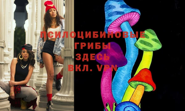 дживик Карпинск
