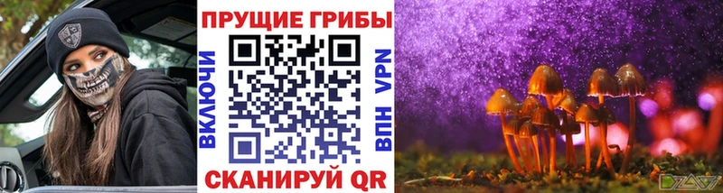 Купить где  Алатырь  Псилоцибиновые грибы MAGIC MUSHROOMS 